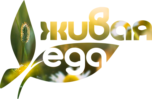 Слобода – официальный сайт бренда Слобода