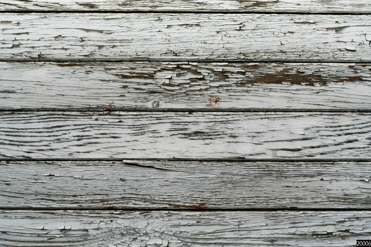 Letité bílé dřevo