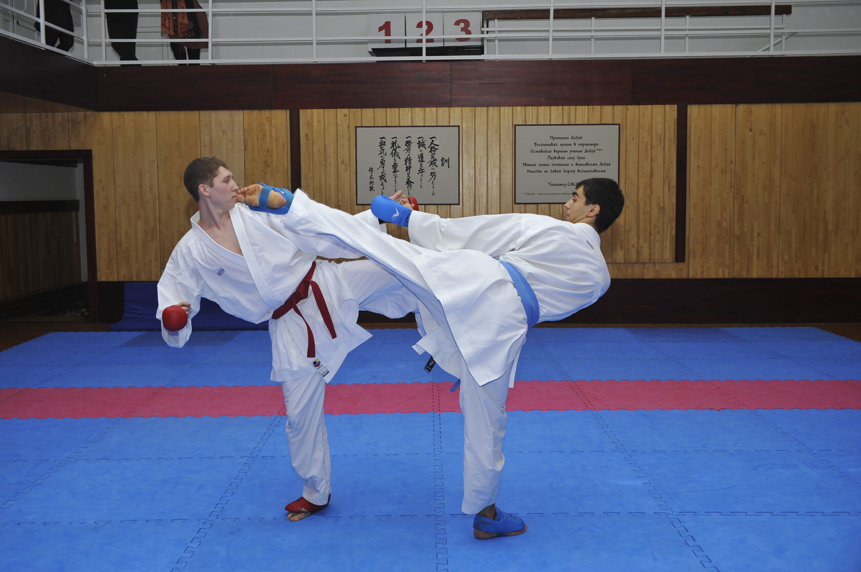 ������ ������ Cjc1295 ������������: ����.