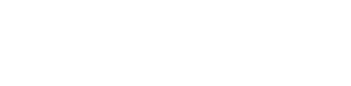 ДИАНА РОМАНОВА