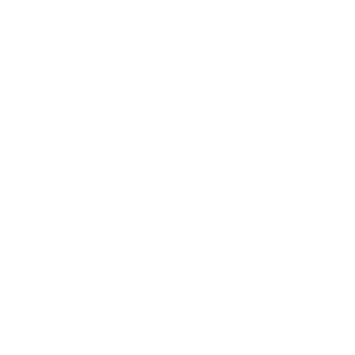 website icon