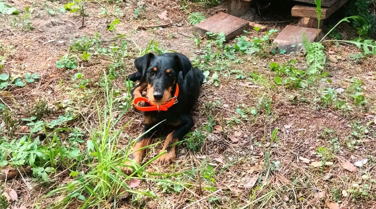 Выдержка в полодении лежа.