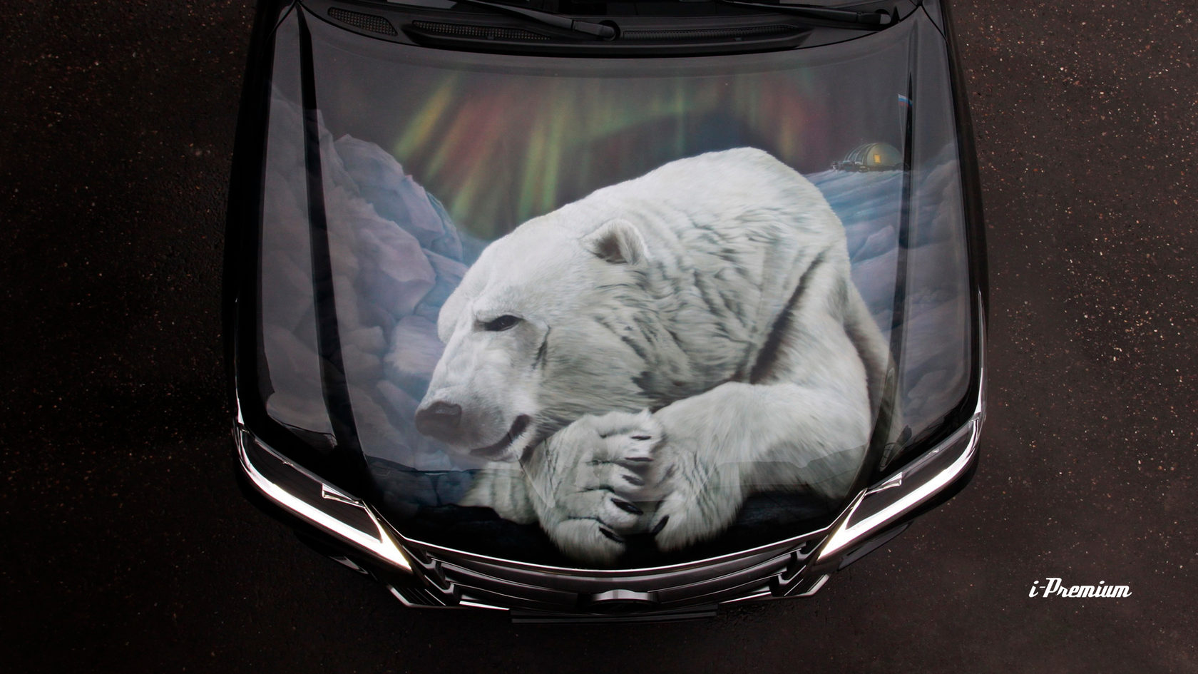 Polar Bear автомобиль