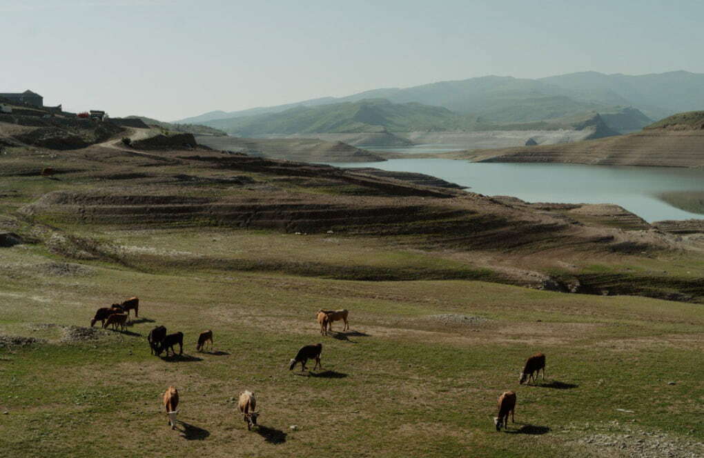 Лошади пасутся в горной местности рядом с водоемом