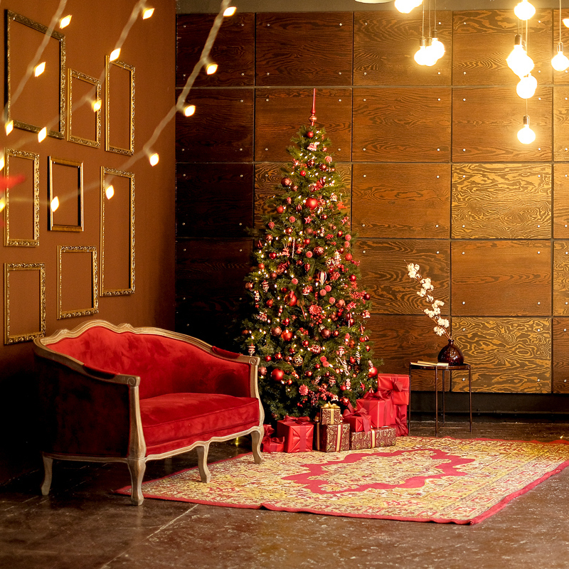 фотостудия иркутск новогодняя