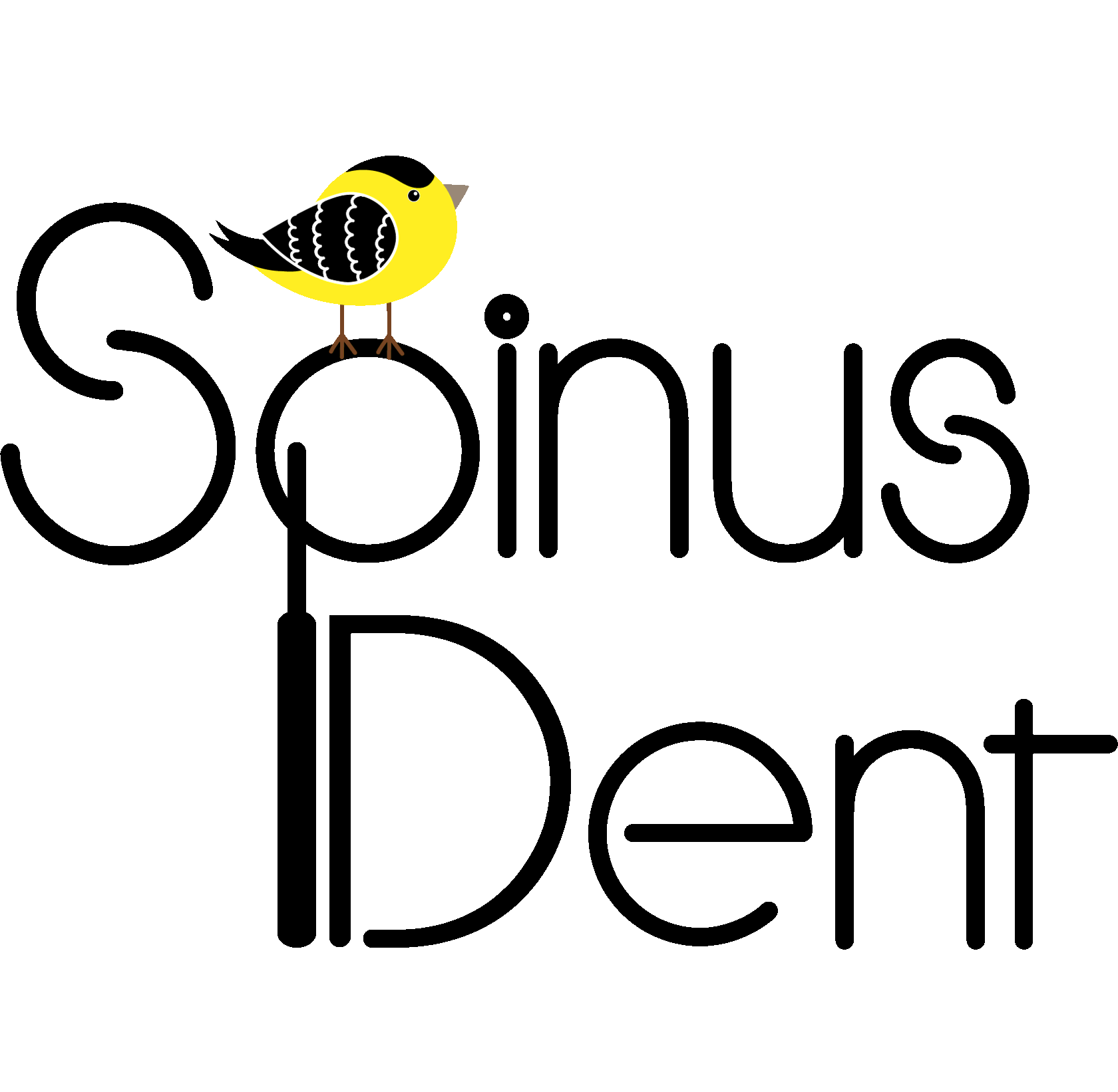Spinus Dent