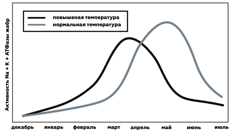 активность жабр атлантического лосося узв аквакультура