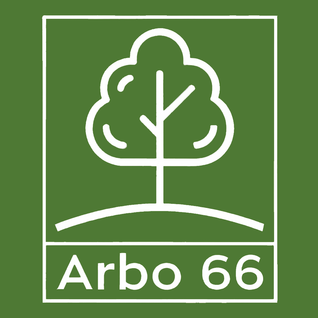 &nbsp;Arbo 66