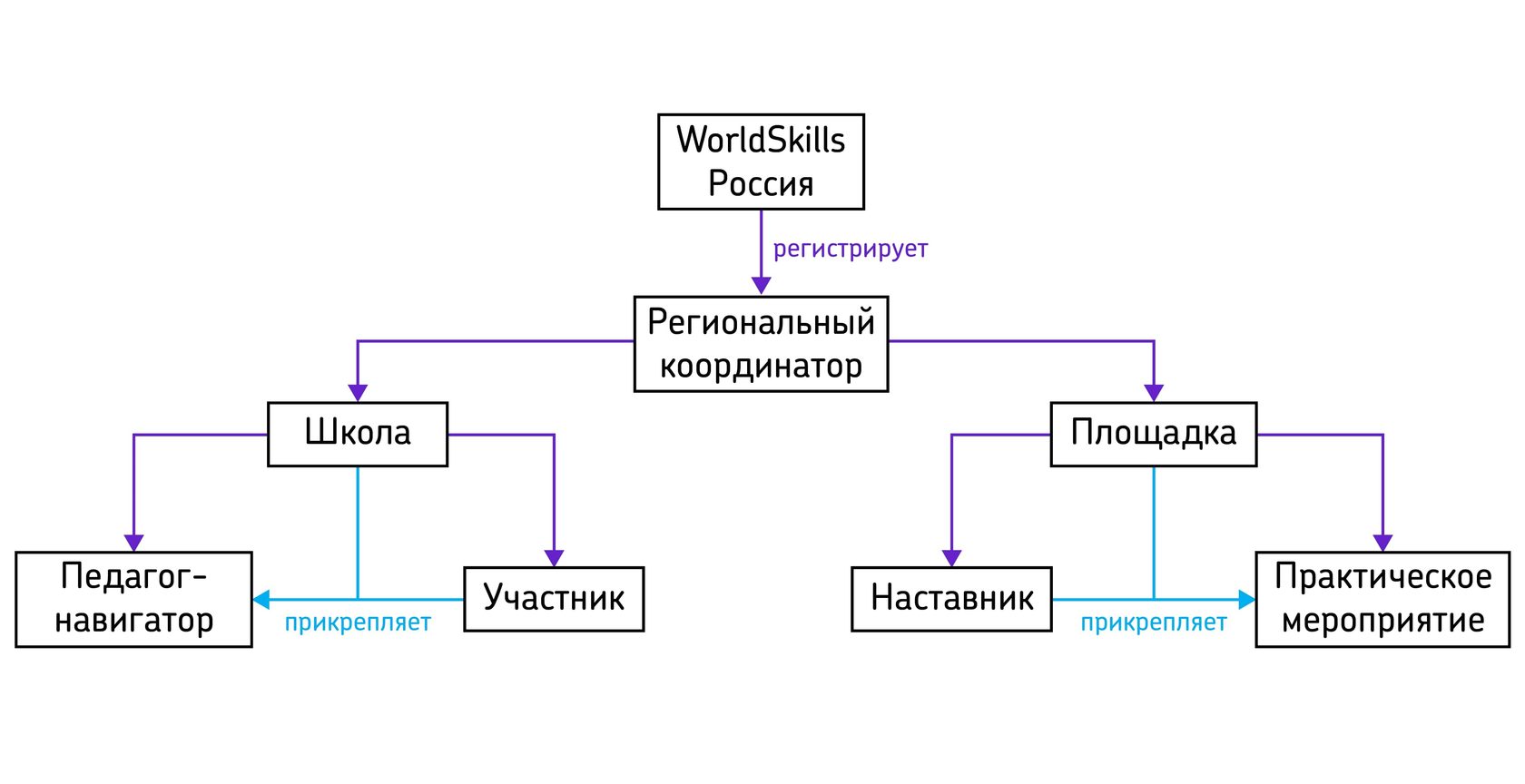 Региональный оператор проекта билет в будущее