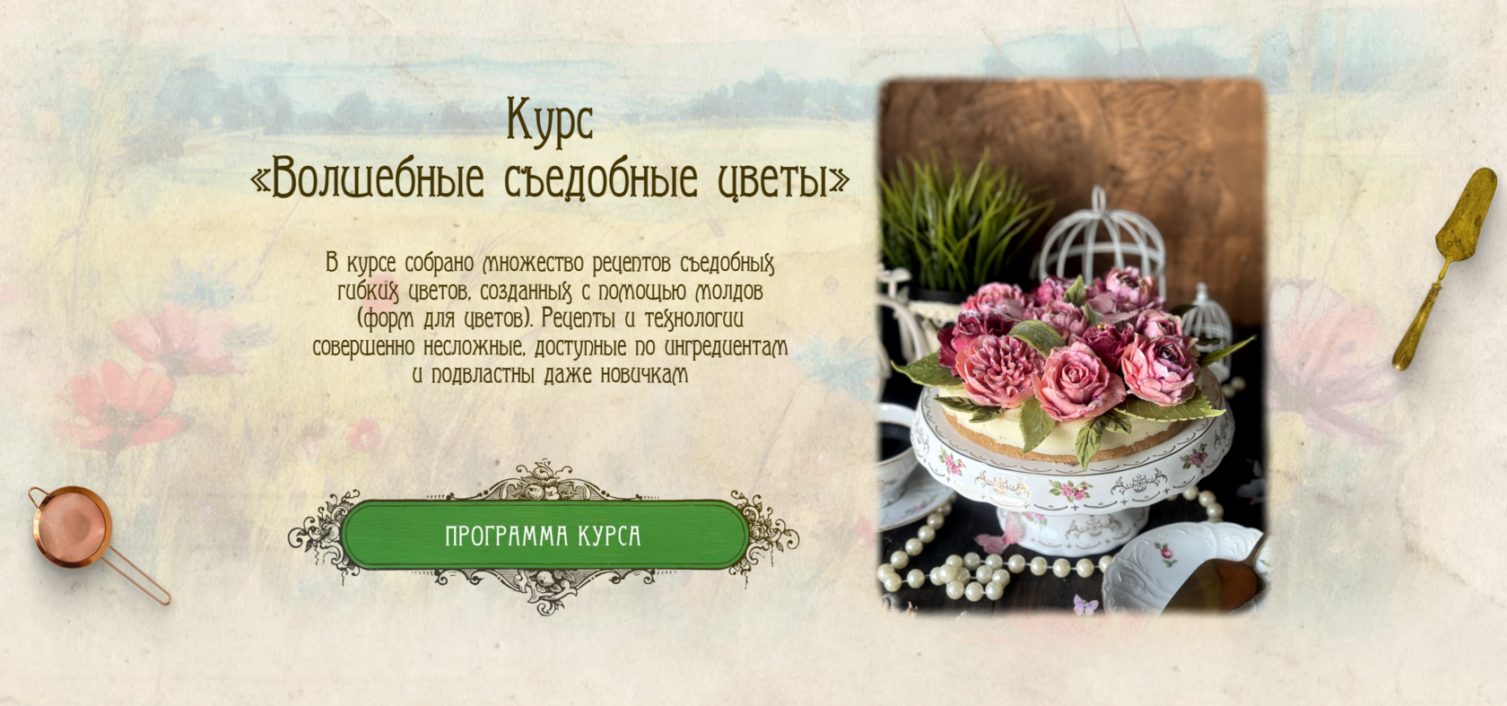 konfeyacademy.ru