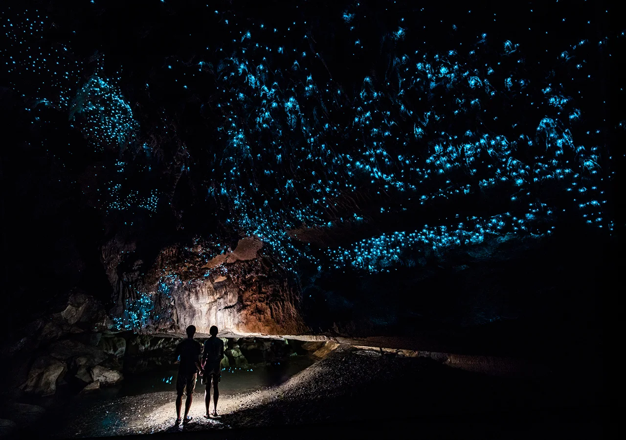 пещеры светлячков вайтомо новая зеландия