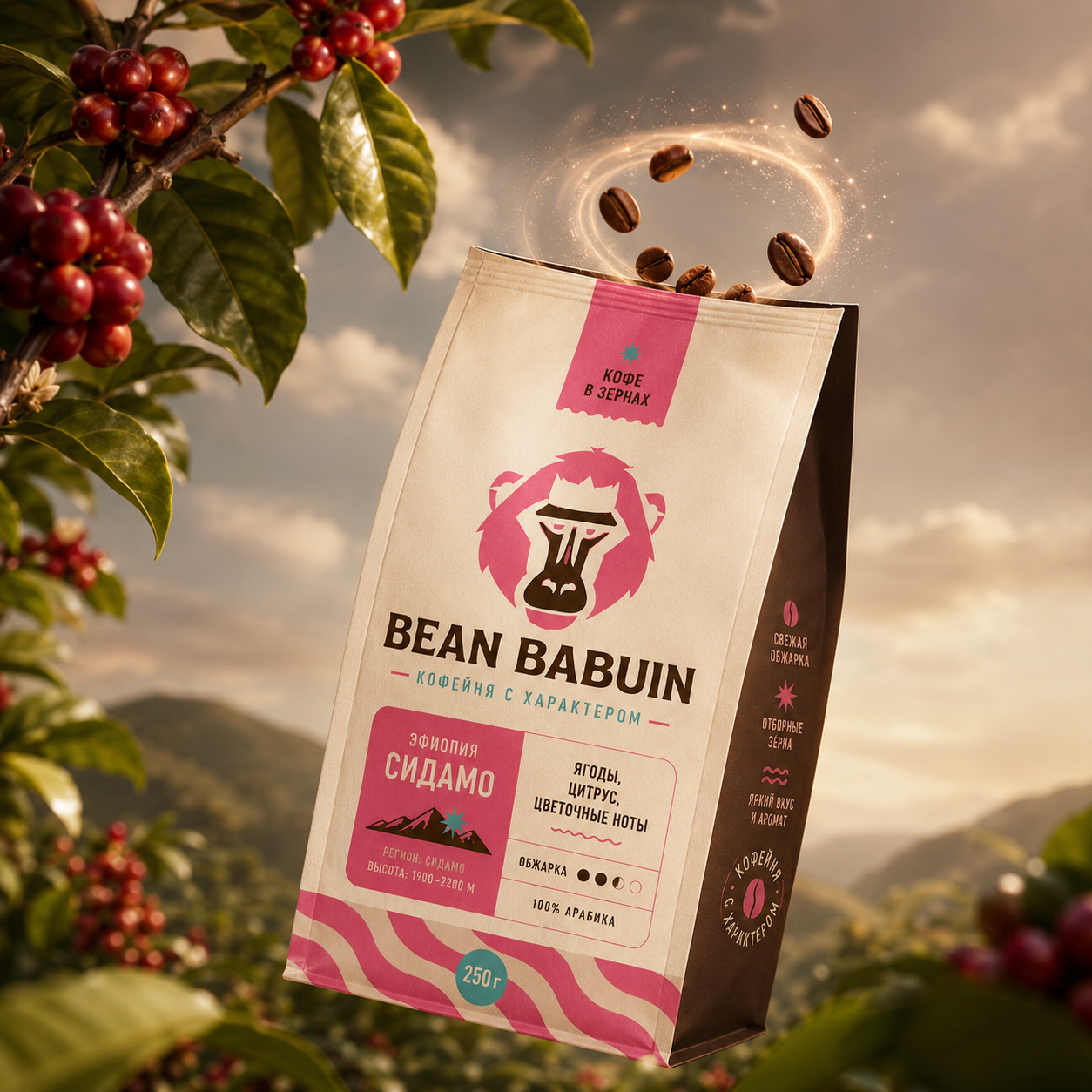 Bean Babuin