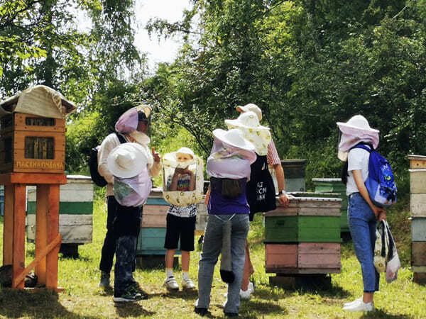 Семейный лагерь - пасека на алтае