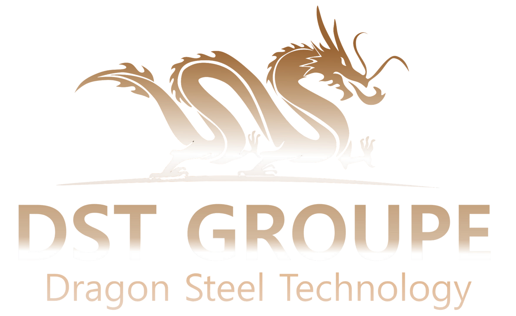 DST-GROUPE