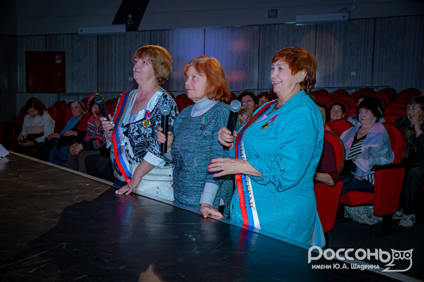 Актив ветеранов в детском центре "Россонь", изображение №9