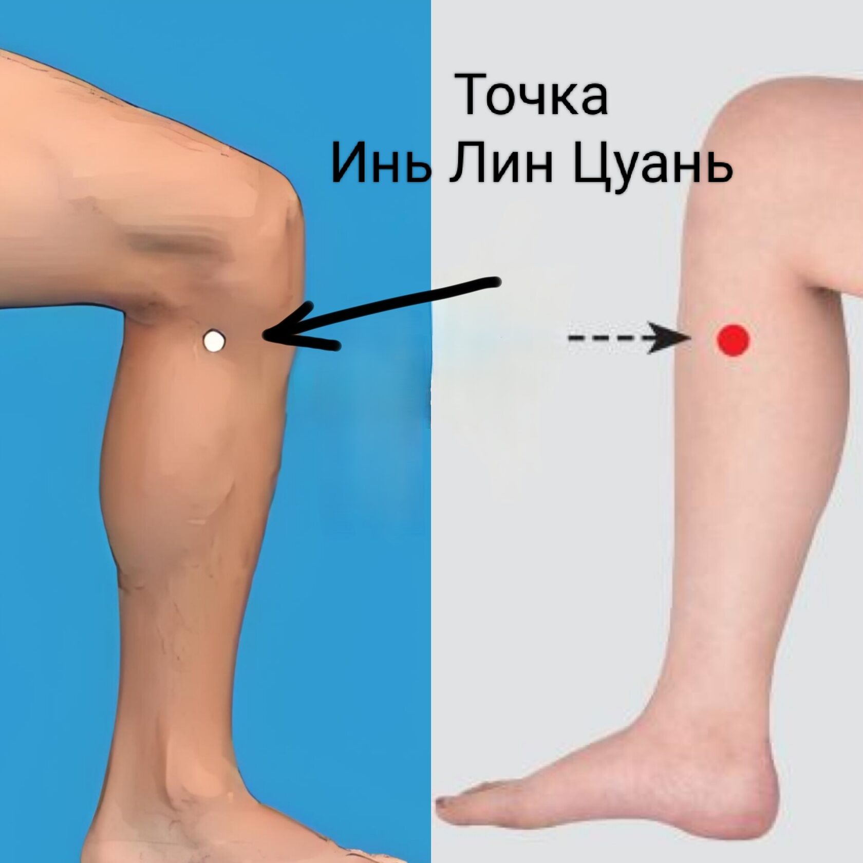 Точка Инь Лин Цуань