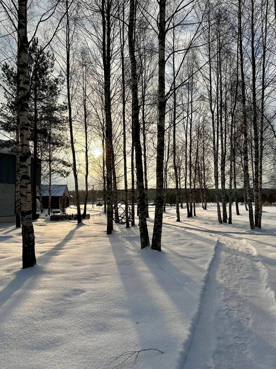 Ретритный центр Медведица Шанти зима территория центра купол-беседка