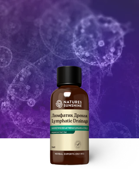 limfatik-drenazh-nsp