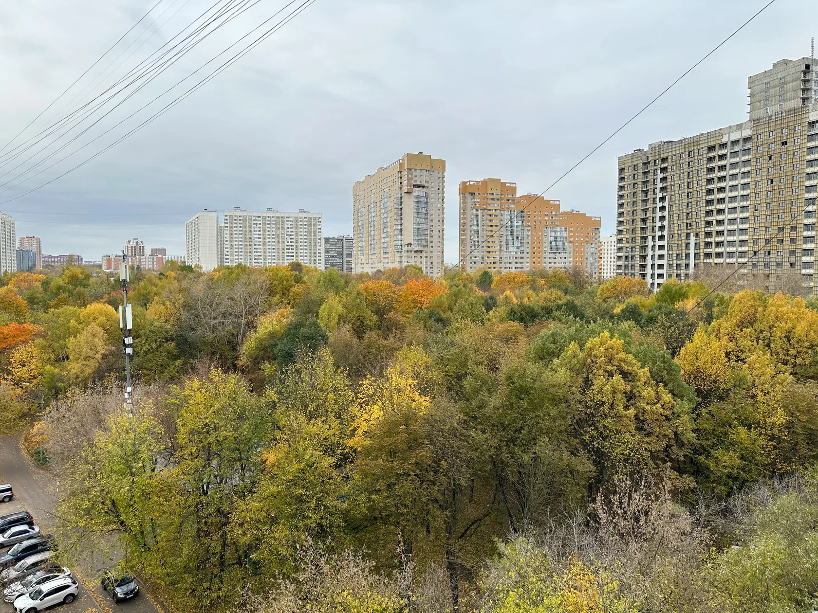 Вид с 10-го этажа на кроны деревьев и городские здания