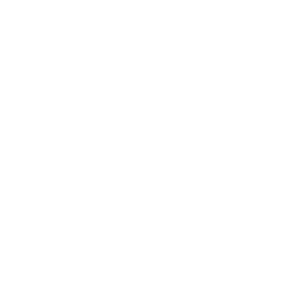 website icon