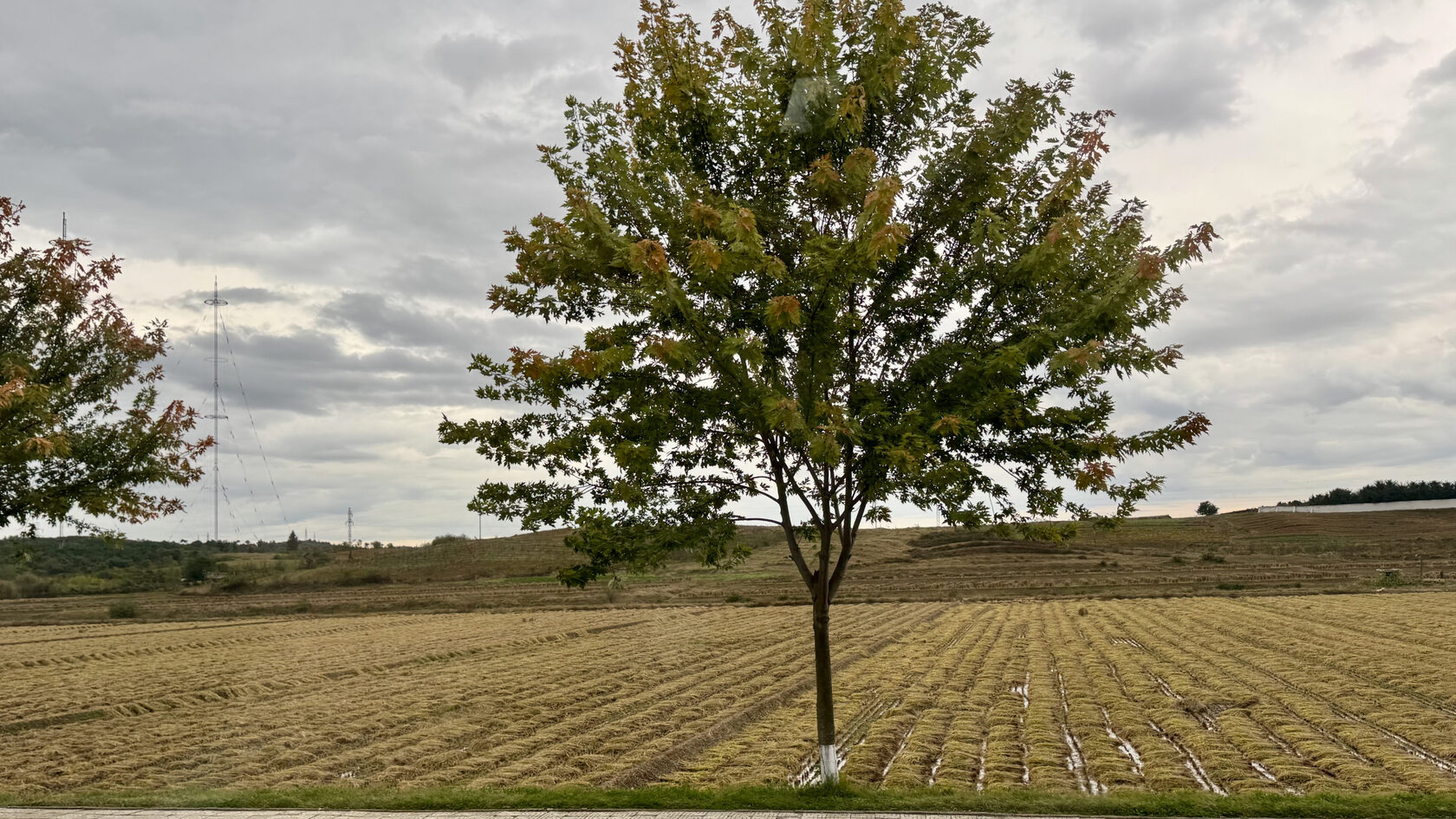 КНДР (Северная Корея)