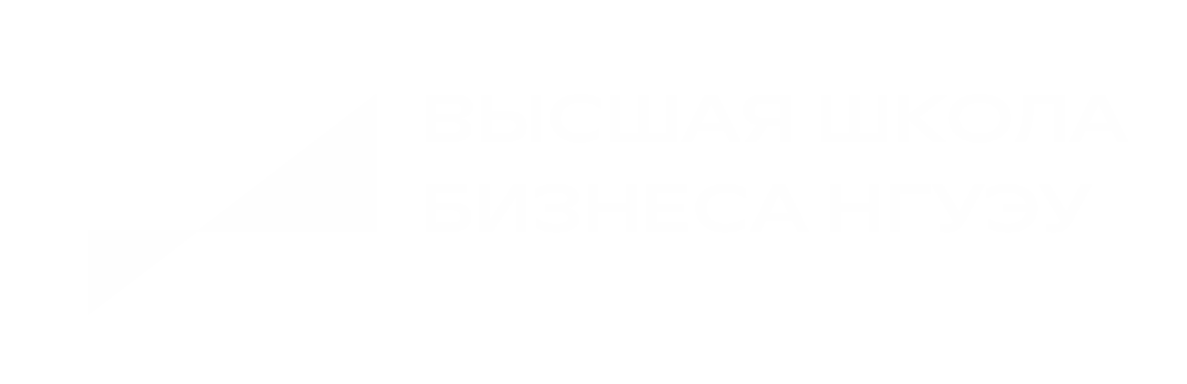 Высшая школа бизнеса НГУЭУ