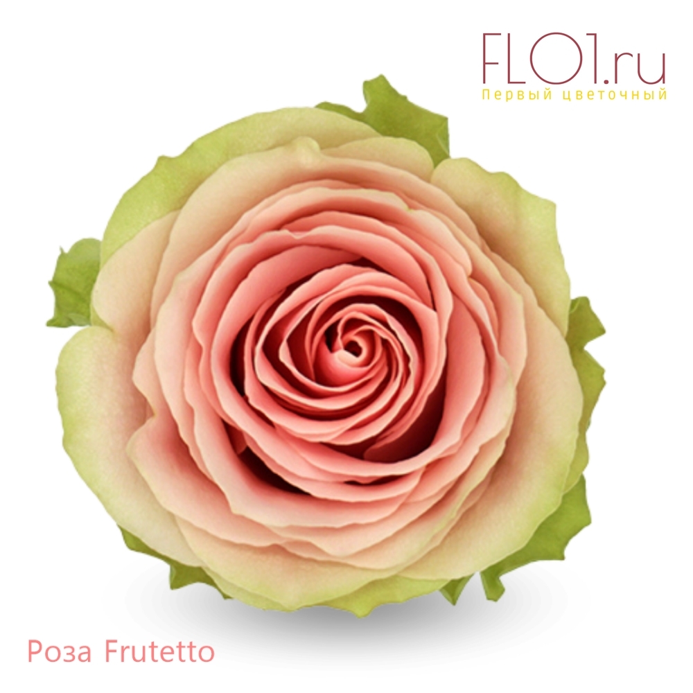 Frutetto