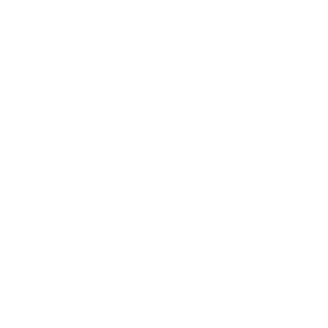 website icon