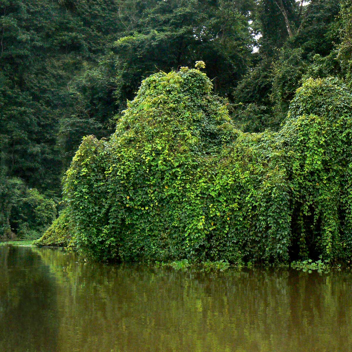 Land of natural wonders costa rica