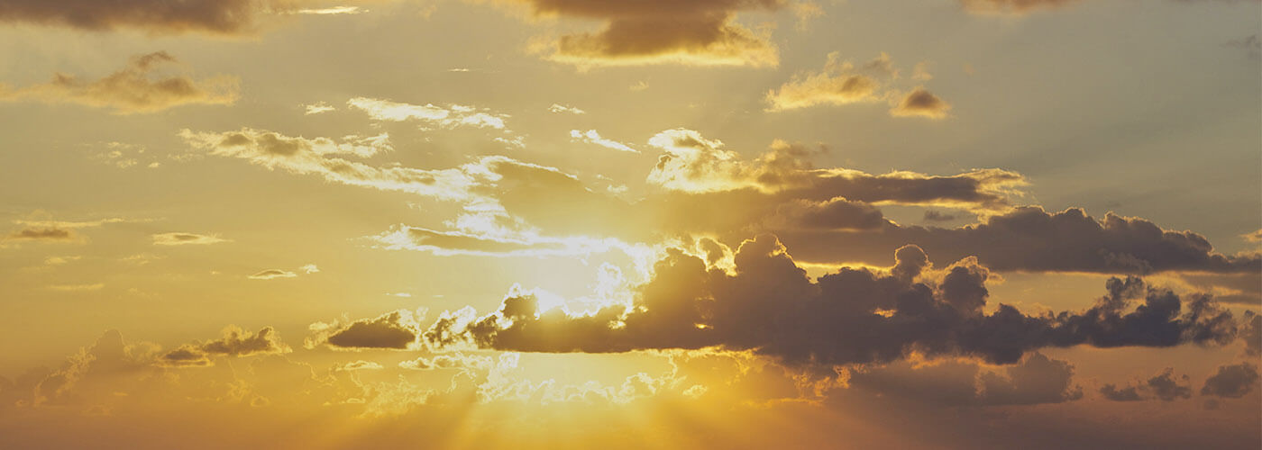 Откуда чувства и эмоции