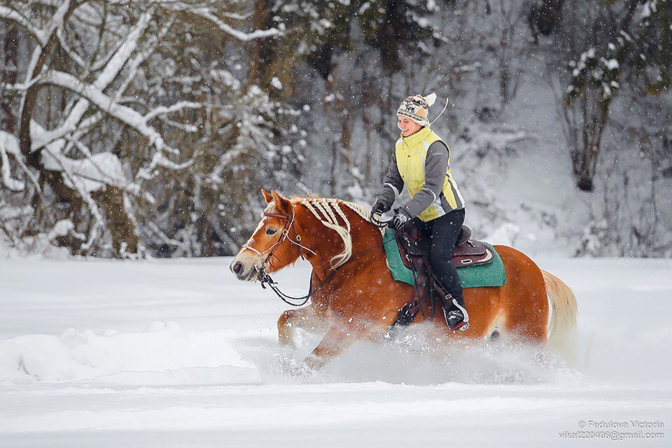 Фотогалерея Караван 5