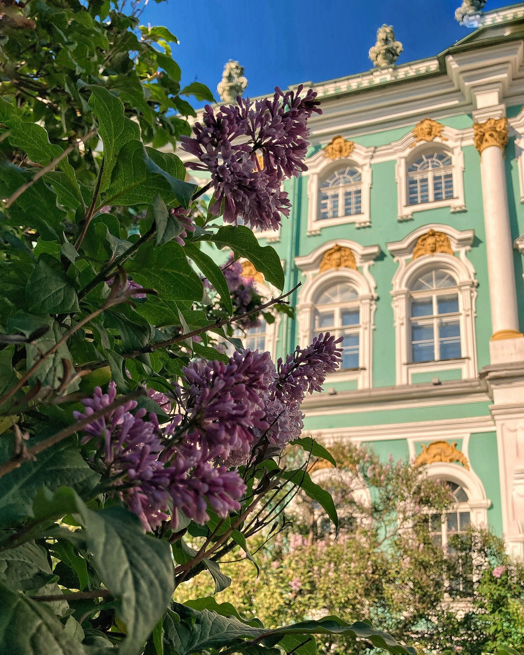 Сад Зимнего дворца, Россия, Санкт-Петербург, Центральный р-н, Дворцовая набережная