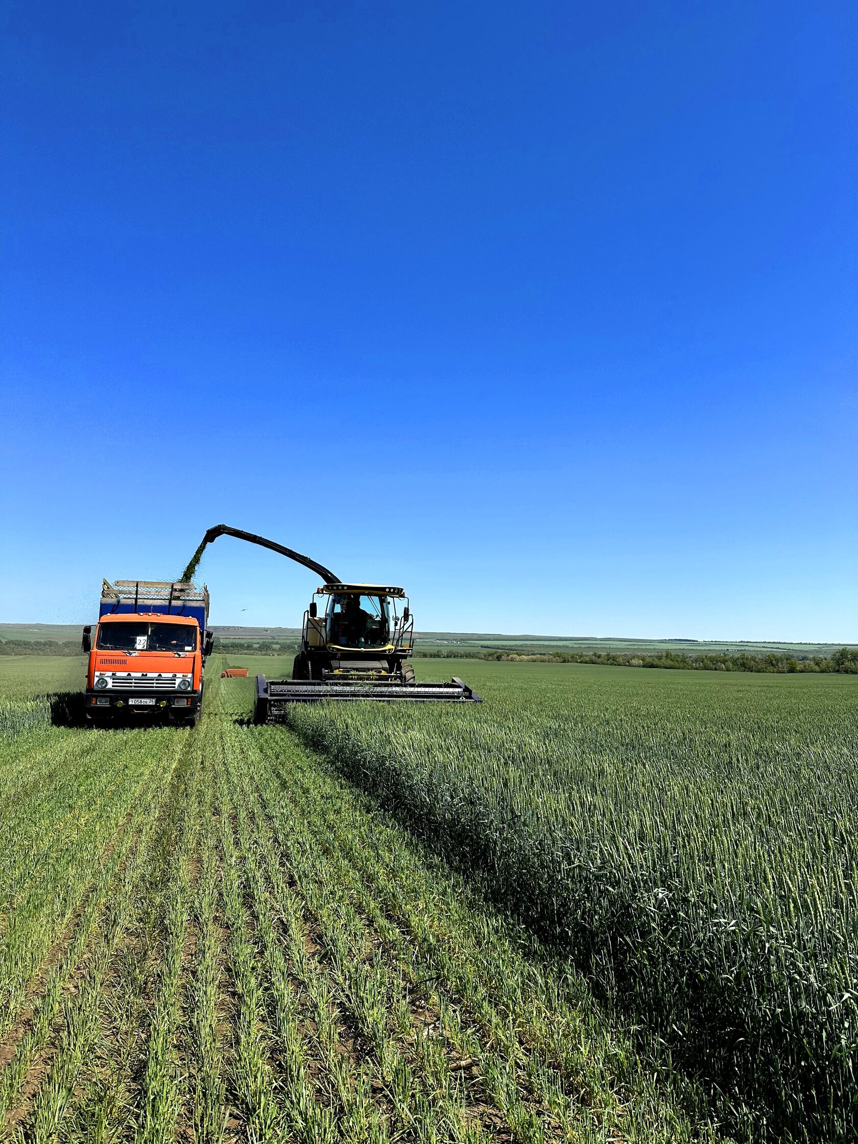 Кормозаготовительная кампания Инвест