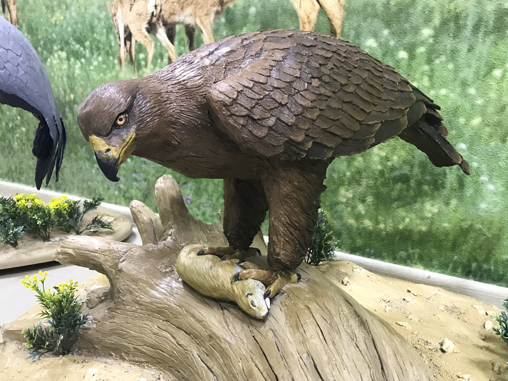 Муляж горного орла