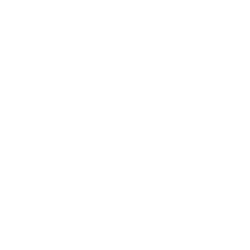 Портретная экспертиза