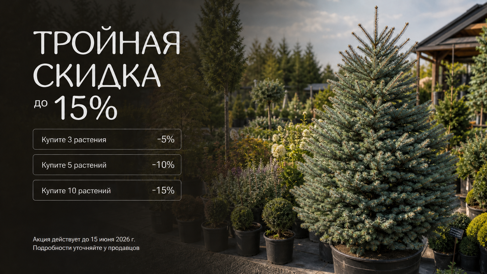Акция 3