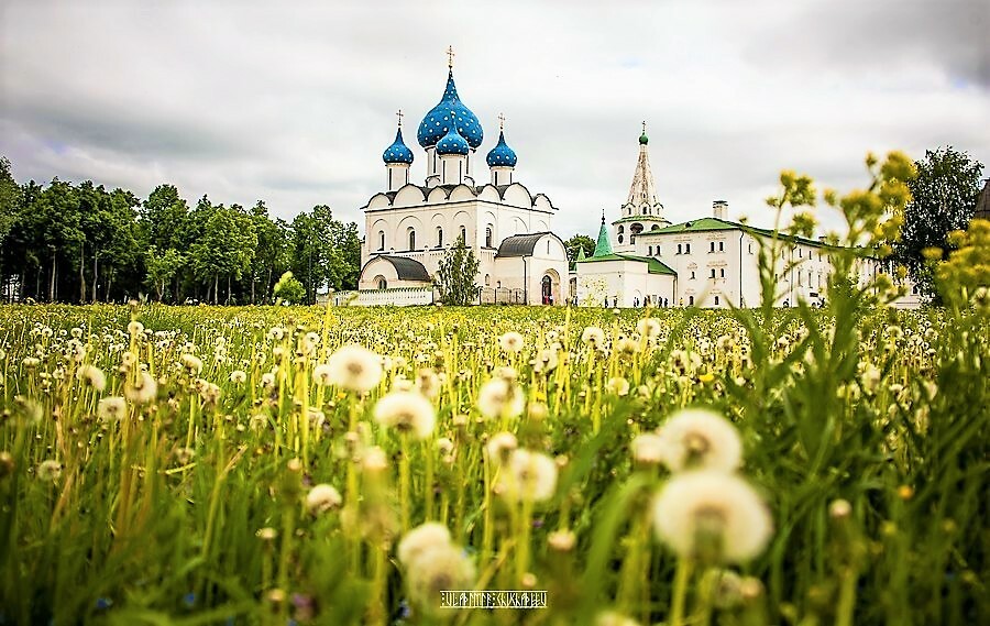 Суздаль летом фото