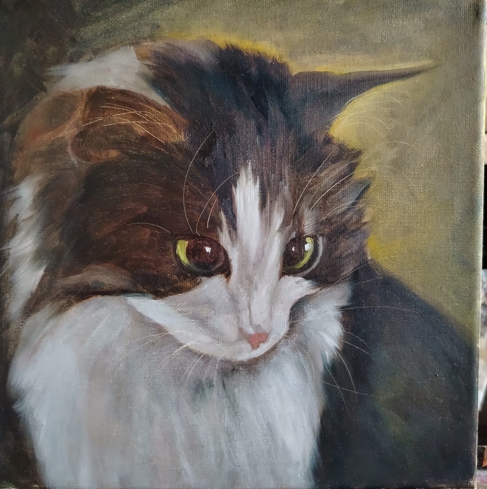Кот