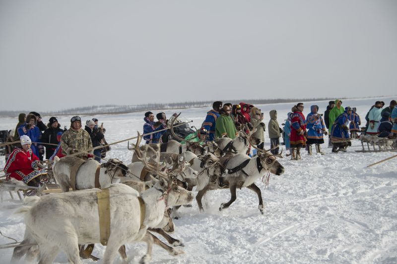 Program to promote social and economic development of indigenous peoples of Taimyr: Reindeer Herder’s Day in Tukharda in 2024