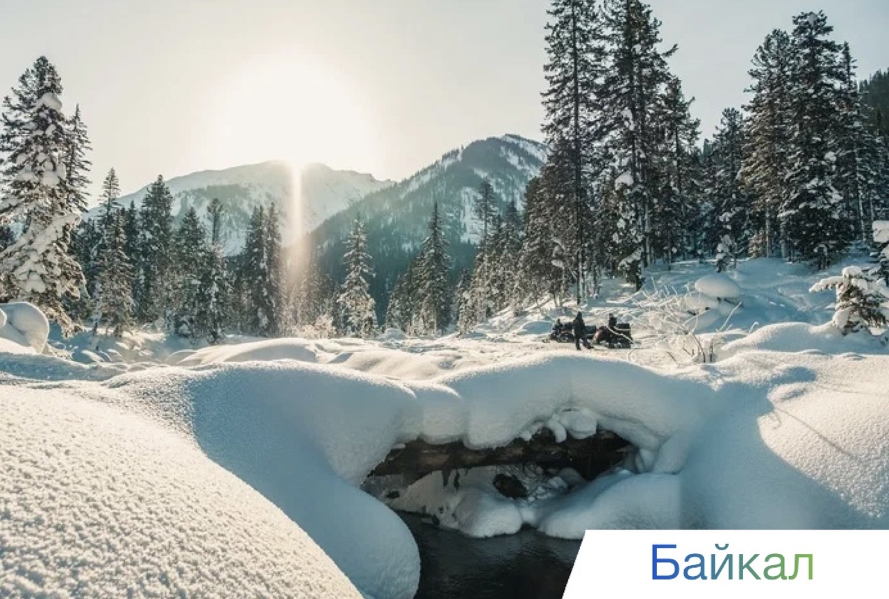 киты в охотском море