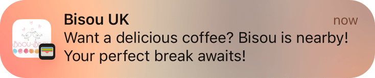 Push message preview