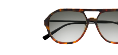 Каталог: самокаты Whoosh