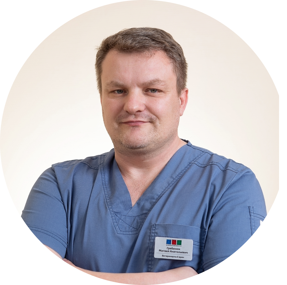 Специалисты ветеринарного центра ВЕТ39 в Калининграде