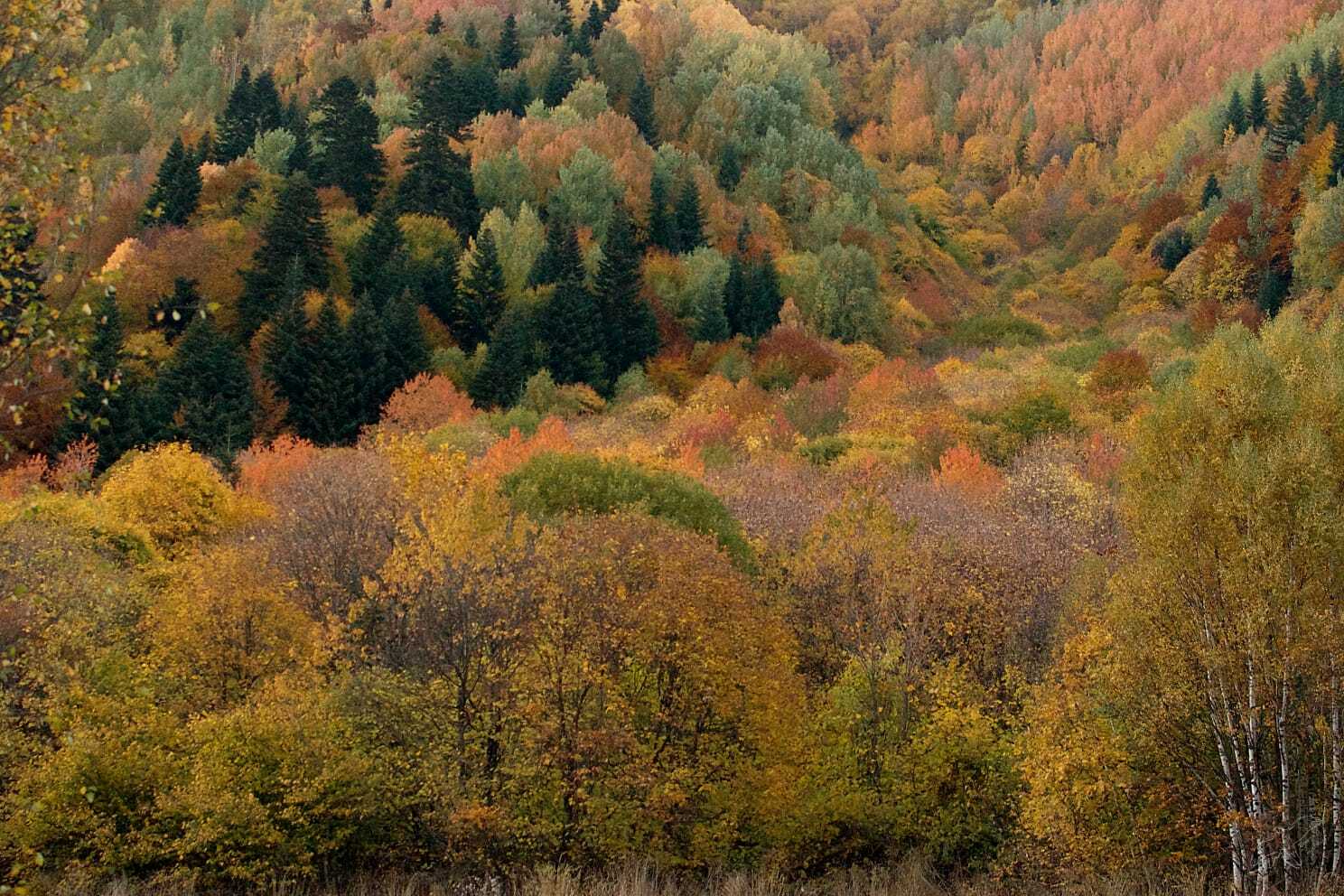 Золотая осень Кисловодск