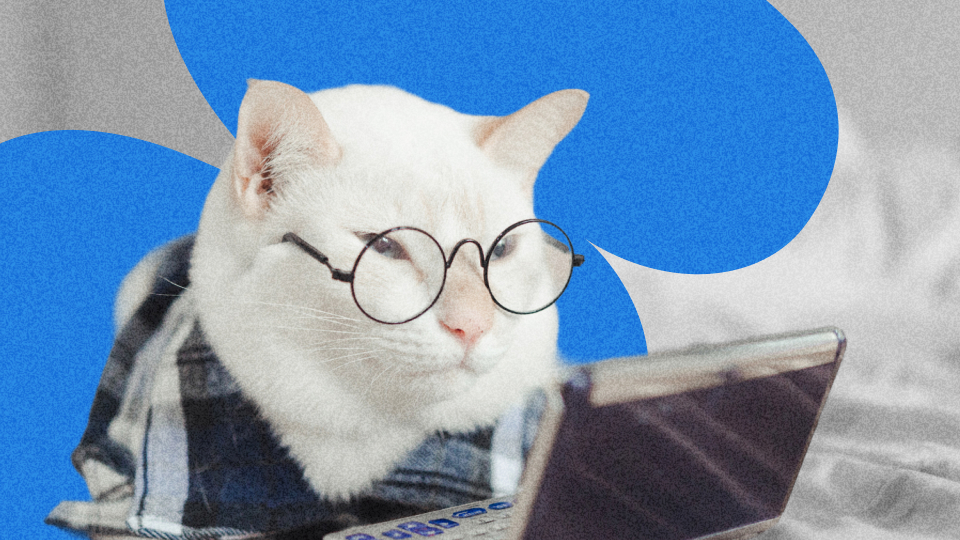 Отчеты для работы гостиницы