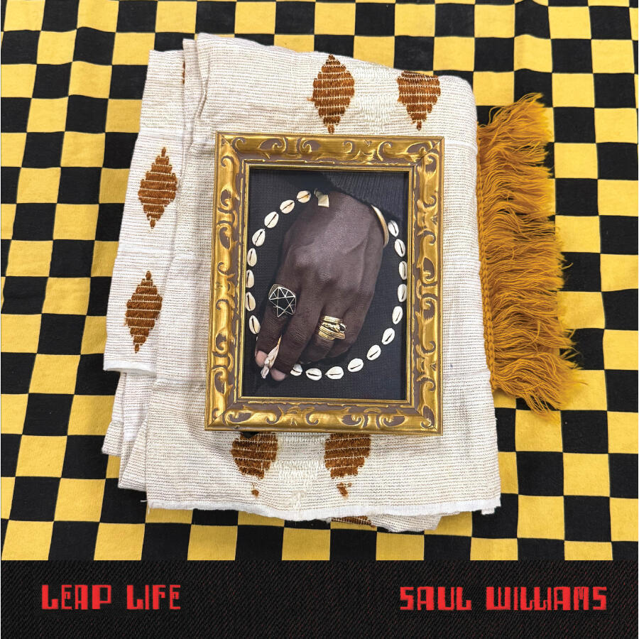 Обложка альбома Saul Williams Leap Life
