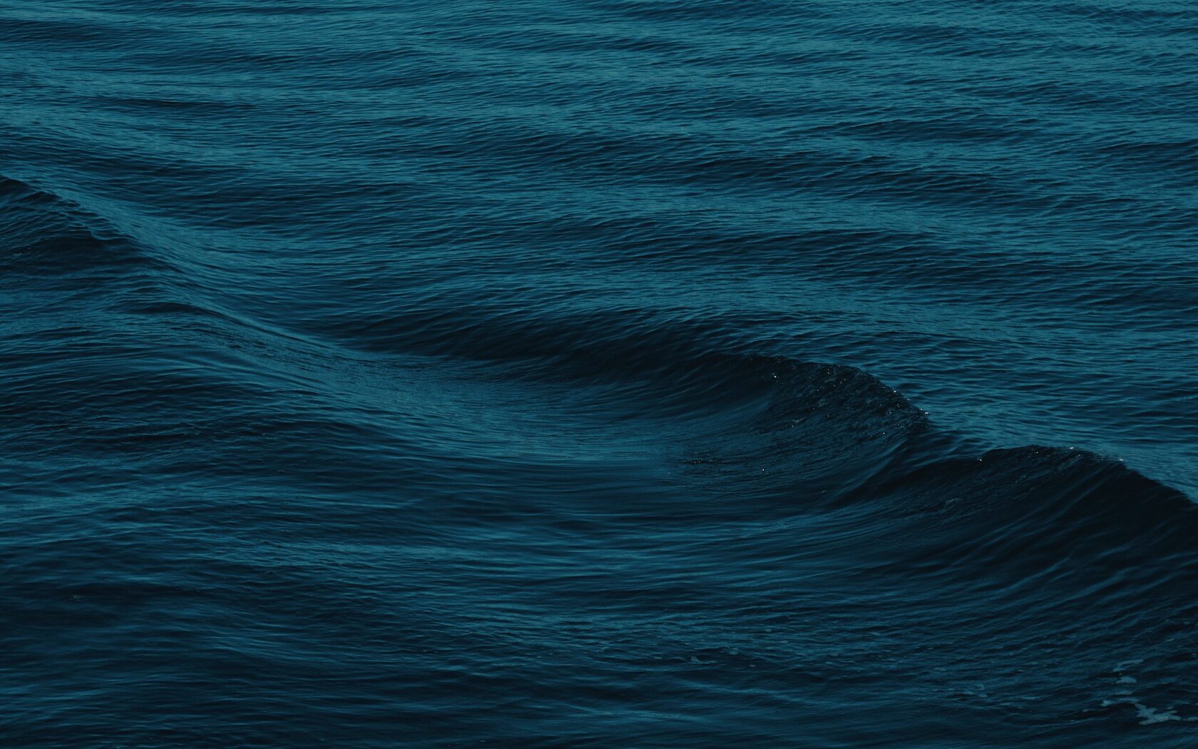 цвет черного моря