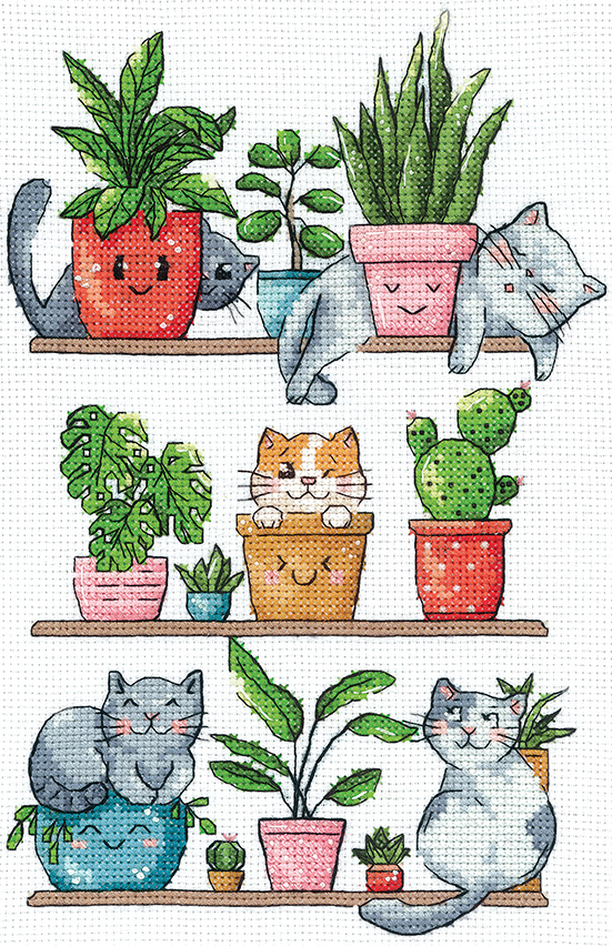 C-68 CATS AND PLANTS