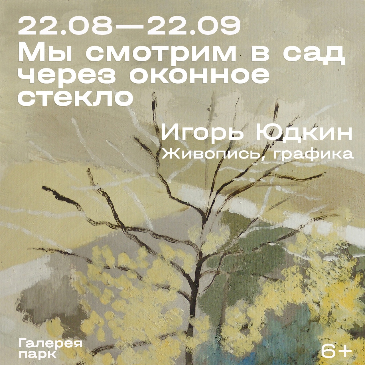 Мы смотрим в сад через оконное стекло