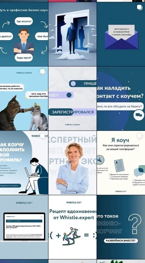 Сетка публикаций Whistle.expert в Instagram